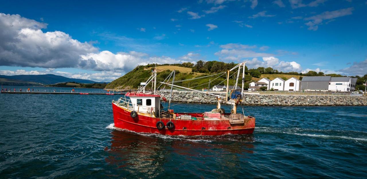 Barry'S Bed And Breakfast Bantry Bagian luar foto